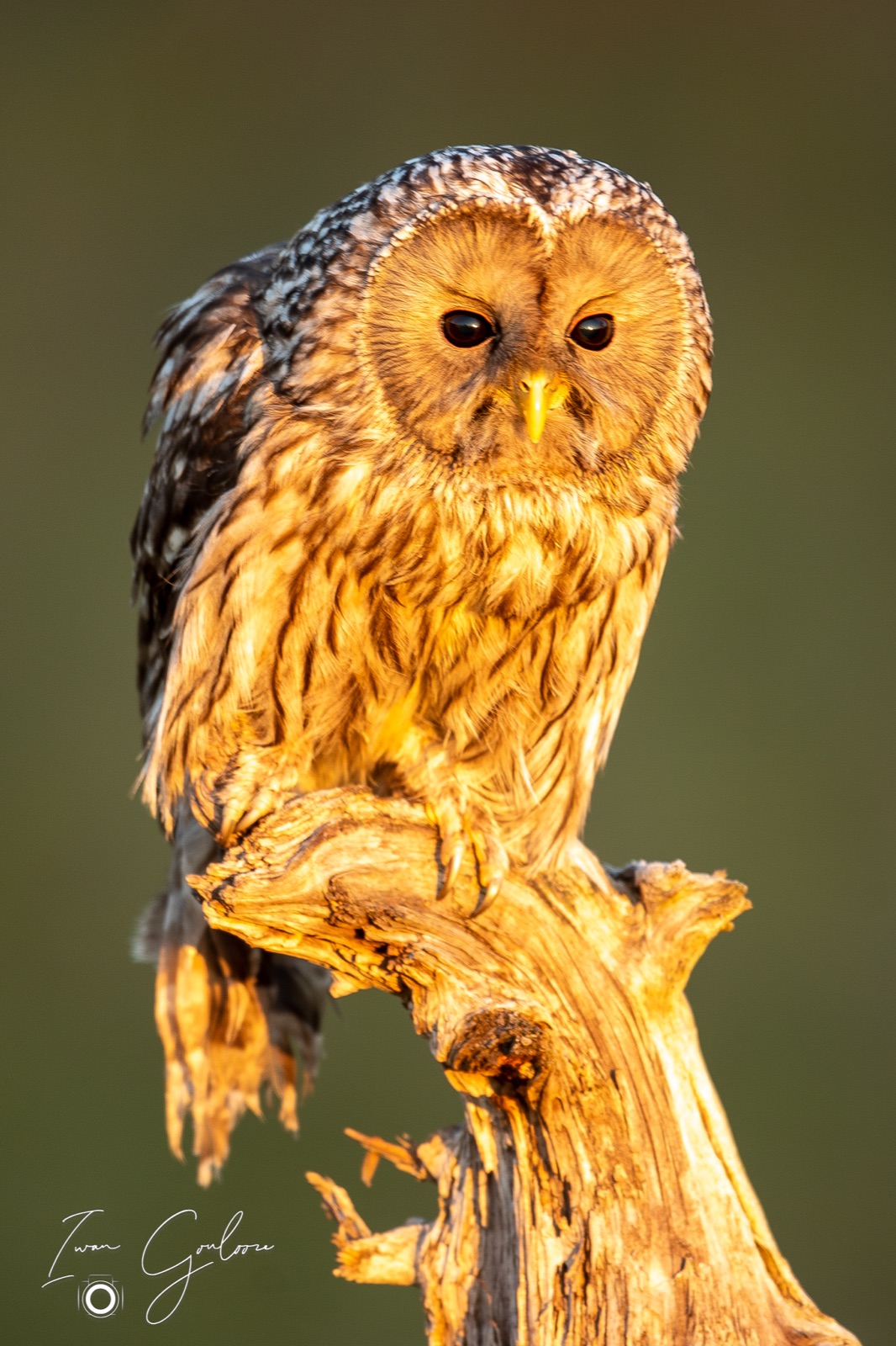 27 april 2022 064944  5D46943